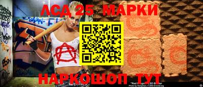 гидропоника Будённовск