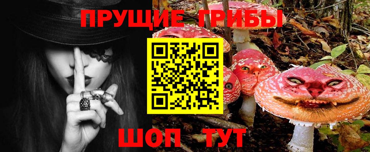Псилоцибиновые грибы мицелий Берёзовский