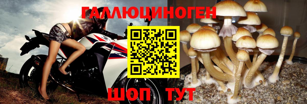 Галлюциногенные грибы мицелий  Вход с VPN  Берёзовский 